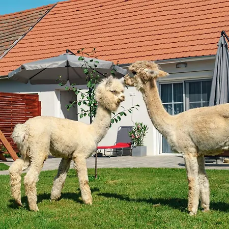 Alpakavendeghaz Apartmán