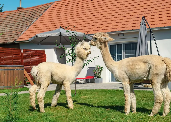 Alpakavendeghaz Apartament